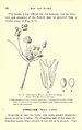 Bergen's botany - key and flora - Pacific coast ed (Page 22) BHL18868239