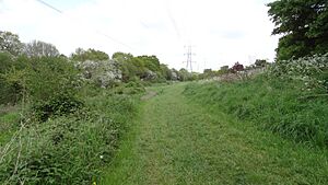 Bonesgate Open Space 6