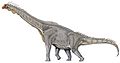 Brachiosaurus DB