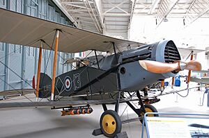 Bristol F2 Fighter REJS