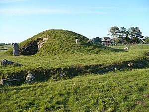 Bryn Celli Ddu - geograph.org.uk - 863672
