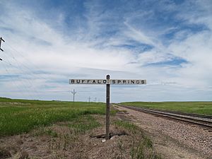 Buffalo Springs, North Dakota sign