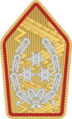 Bundesheer - Rank insignia - General