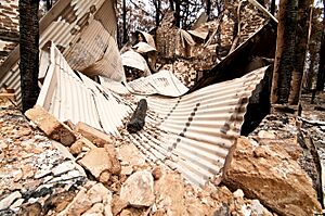 CSIRO ScienceImage 10430 A destroyed property at Kinglake after the Black Saturday bushfires