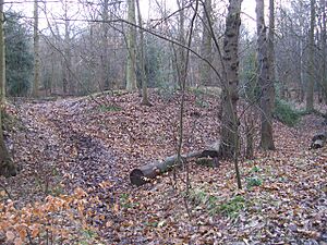 Caesar's Camp or Castle Holmes - geograph.org.uk - 1749232