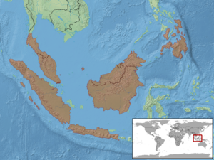 Calamaria lumbricoidea distribution.png