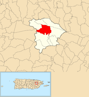 Location of Celada within the municipality of Gurabo shown in red