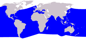 Cetacea range map Cuvier's Beaked Whale.PNG