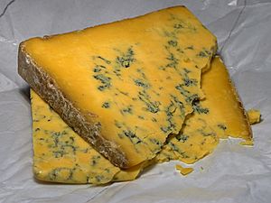 Cheese 53 bg 061806