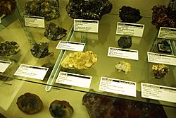 Rows of rock specimens in display case, labelled