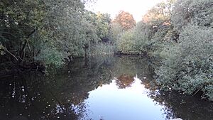 Cranham Brickfields pond