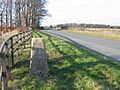 Cutsdean Hill - geograph.org.uk - 374509