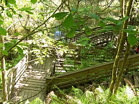 Devil's Millhopper Geological State Park Facts for Kids