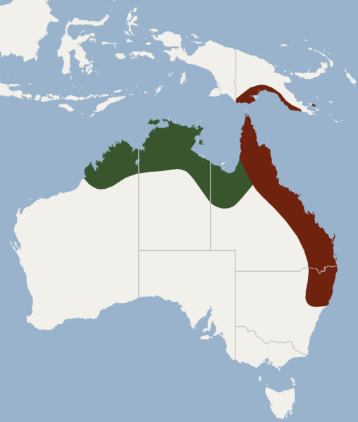 Distribution of Chalinolobus nigrogriseus