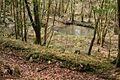 Duloe, West Looe River - geograph.org.uk - 138444