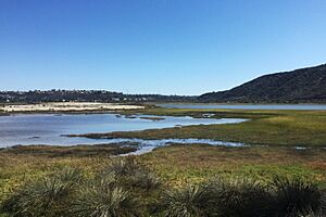 East Side of Batiquitos Lagoon