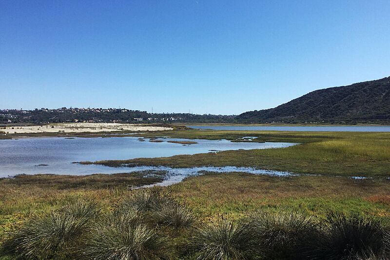 East Side of Batiquitos Lagoon