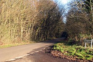Etchden Road - geograph.org.uk - 1076453