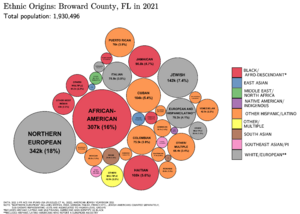 Ethnic Origins in Broward County, FL