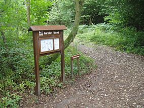 Garston Wood information - geograph.org.uk - 223324.jpg