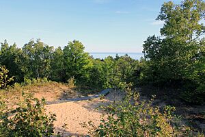 Gfp-wisconsin-whitefish-dunes-top-of-the-dune