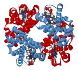 Haemoglobin-3D-ribbons