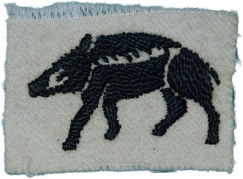 Hampshire County Division Insignia