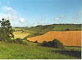 Haydown Hill and Fosbury Camp from Conholt Hill - geograph.org.uk - 23042