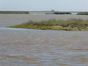 Hazlewood Marshes breaches in sea wall.jpg