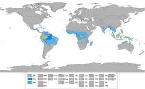 Köppen World Map Af Am Aw