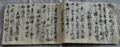 Kanrinseiyo Middle Volume Ninja Manual 1748