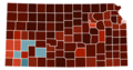 Kansas counties by race