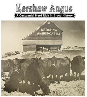 Kershaw Angus Farm Collage