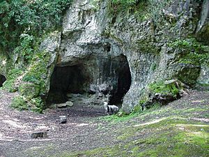 King Arthur's Cave - geograph.org.uk - 88587.jpg