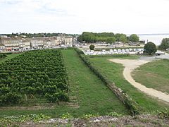 La ville et le vignoble de Blaye depuis la citadelle