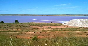 Lake Bumbunga salt lake at Lochiel, South Australia in 2010