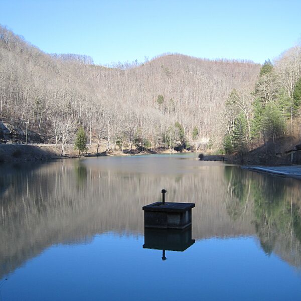Laurel Lake WMA - Laurel Lake-square