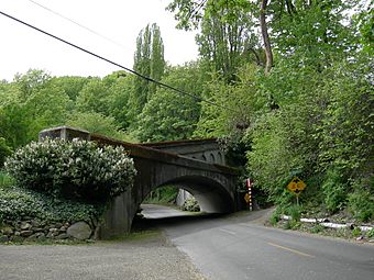 Photograph of Lake Washington Boulevard passing under a concrete arch bridge in a vegetated setting
