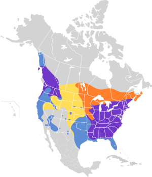 Lophodytes cucullatus map.svg