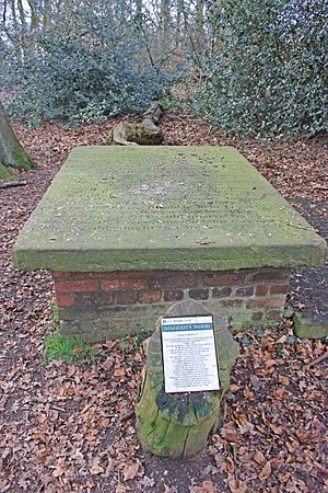 Maggoty Johnson's Grave