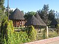 Malokas
