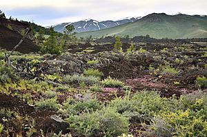 My Public Lands Roadtrip- Craters of the Moon National Monument in Idaho (18801359775)