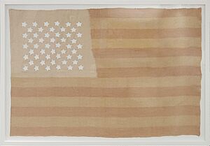 Native Flag By Mateo Blanco 1