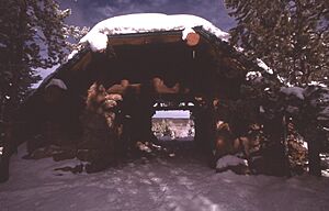 Norris Museum Winter