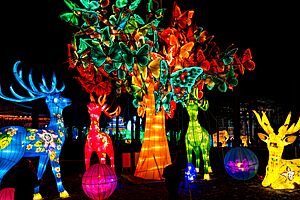 North Carolina Chinese Lantern Festival by Sergey Galyonkin