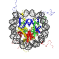 Nucleosome 1KX5 colour coded