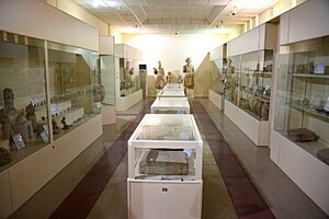 One of the halls of the Erbil Civilization Museum displaying Mesopotamian artifacts from the Urartian, Hurrian, and Hatra periods