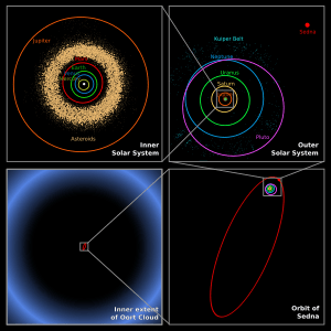 Oort cloud Sedna orbit