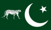 PMLN 2021 Flag.png