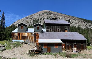 Paris Mill